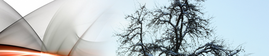 Sitemap | Susanne Janowsky- Winkler MAS